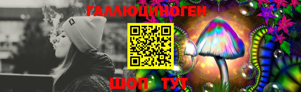 Галлюциногенные грибы прущие грибы Йошкар-Ола