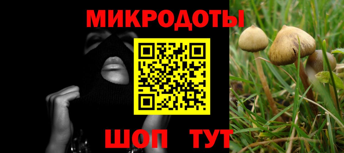Галлюциногенные грибы Magic Shrooms  Вход с VPN  Псилоцибиновые грибы ЛСД  Йошкар-Ола 